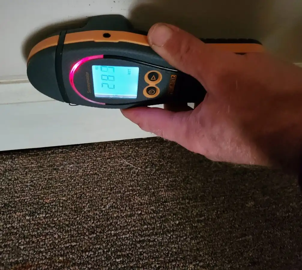 Moisture detection at baseboard during Sewage Cleanup & Sanitation in Wolcott